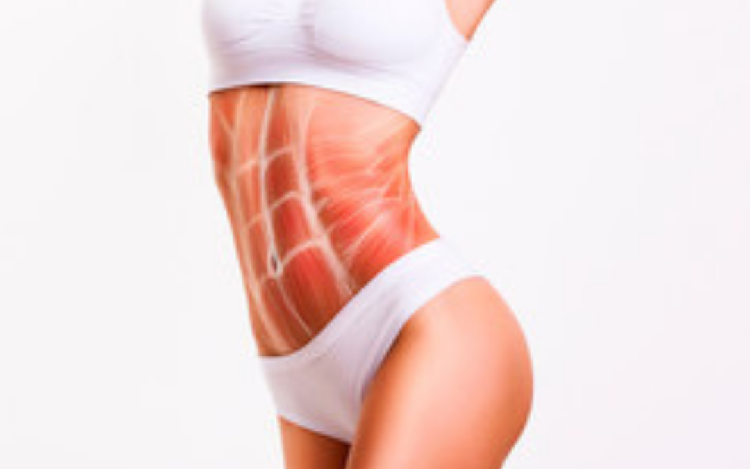 EMSlim BODY